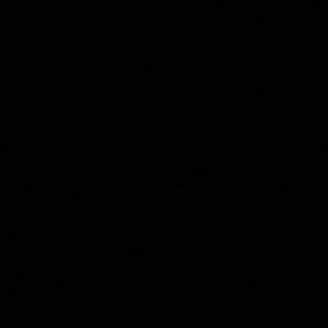 Meet your Posher, Chau